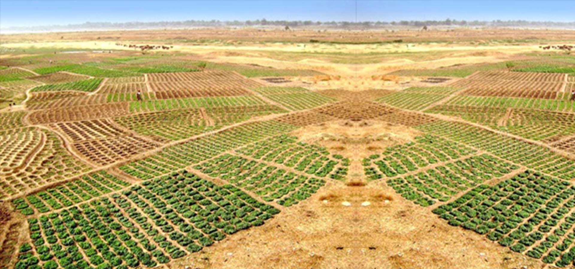 Ghana's Land System: An "Enemy" to Economic Development – A CDD-Fellow Explains Why