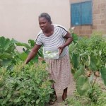 Home Gardening