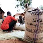 Ghana cocoa sector