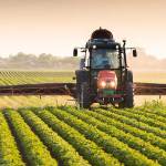 Dr. Ackah on Ghana’s Agric for Economic Transformation: A Bold Move to Tackle Food Inflation and Boost Agribusiness