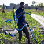 How Ghana's Uncontrolled Urbanization is Threatening Food Security – An Economist's Insight