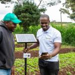 Pathways to Sustainable Job Creation: World Bank Prioritizes Youth-Centred Solutions
