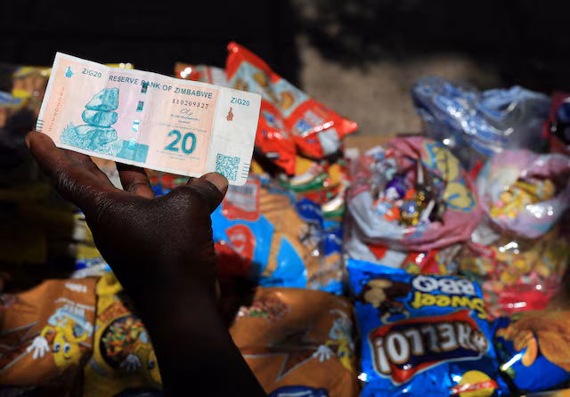 Zimbabwe says gold-backed currency stable but investor doubts persist