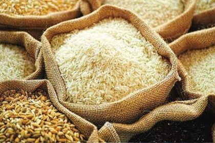 A Scented Solution: How Locally Produced Aromatic Rice Seeds Could Turn the Tide on Imports