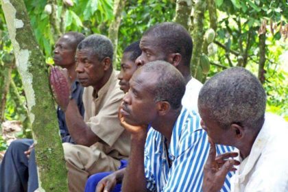The Irony of the New Cocoa Bill: ‘Weak’ Bill Handing Over Ghana’s Place in Production to Ecuador 'Cheaply'
