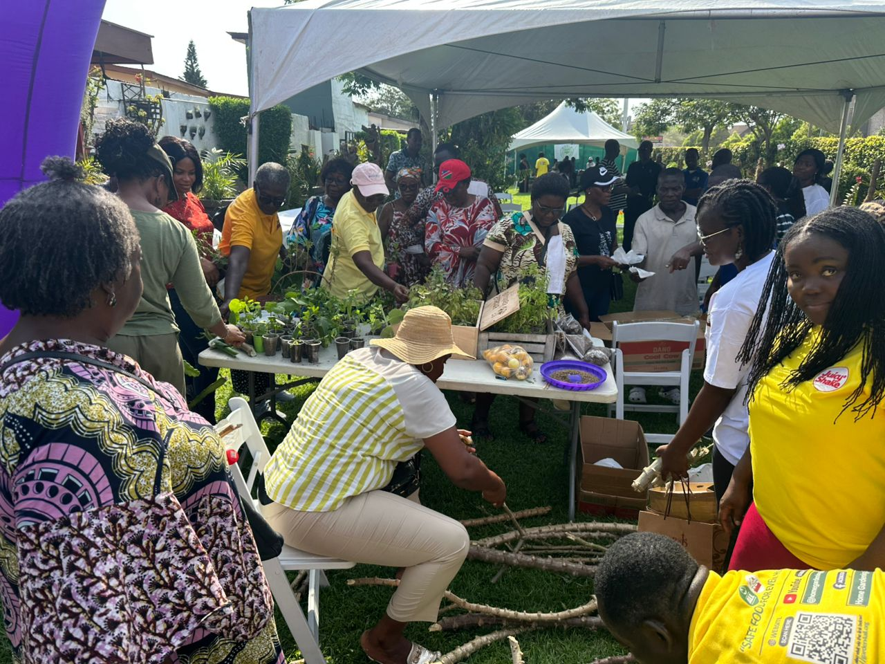 From Backyard to Table: How Home Gardening Can Strengthen Ghana Food Security