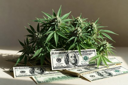 Cannabis Industry Questions Dollar-Pegged Licensing Fees as Investment Concerns Grow